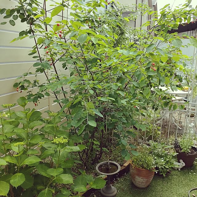 Bienvenueさんの部屋