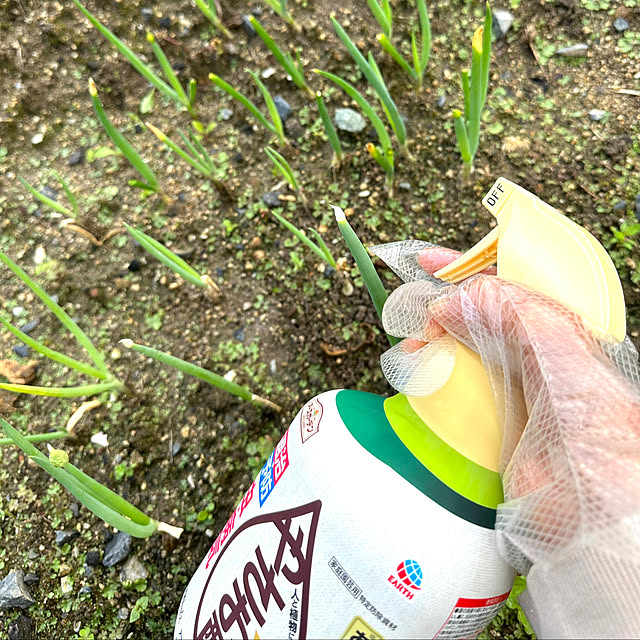 mizuyoさんの実例写真