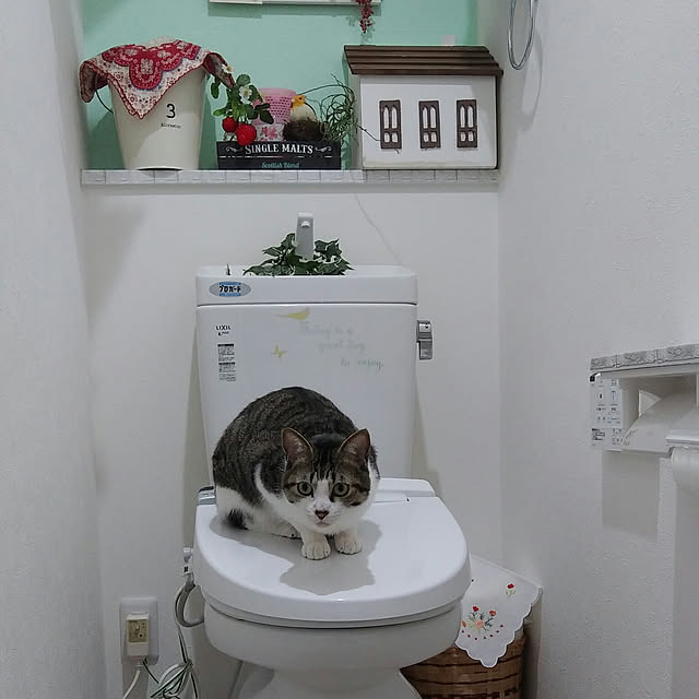 Gomaさんの実例写真