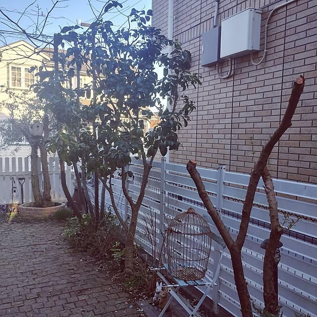 kana_ciiさんの実例写真