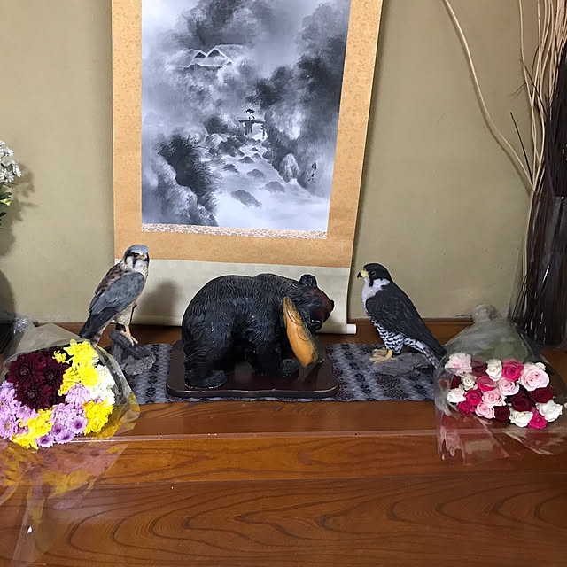 aoinokimiさんの部屋