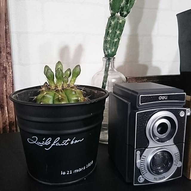 Lilyさんの実例写真