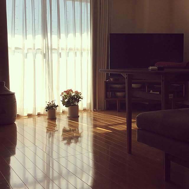yuさんの実例写真