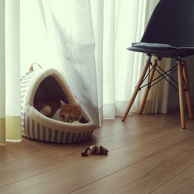 Yさんの実例写真