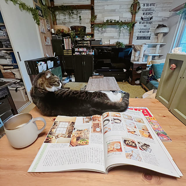 sumoanzuさんの実例写真