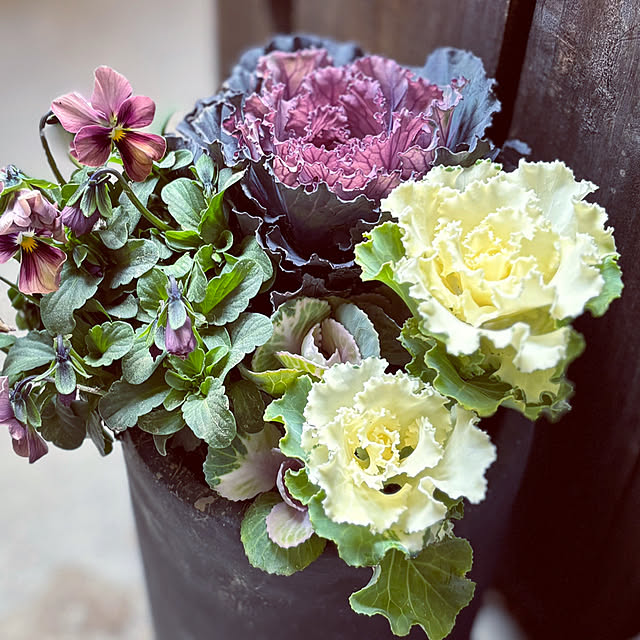 Kuniさんの実例写真