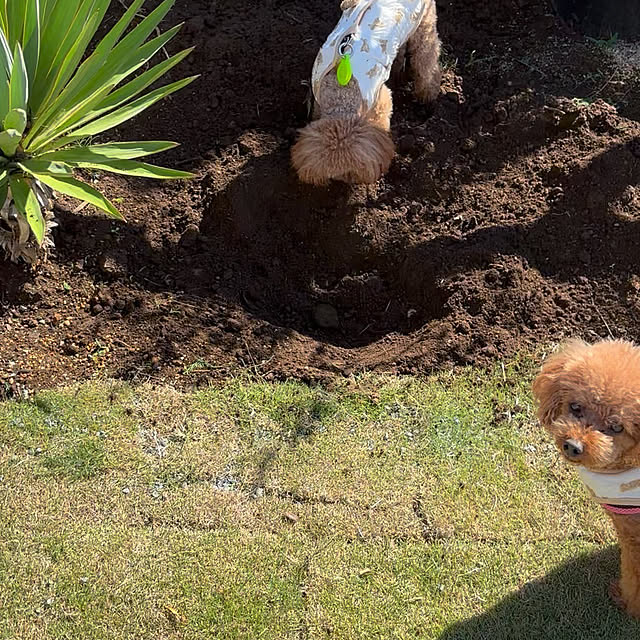 bonjiri0824さんの部屋