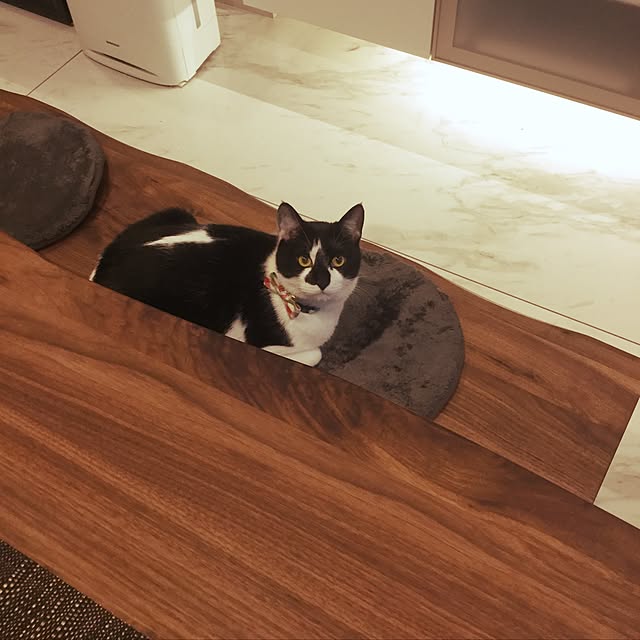 noaさんの実例写真