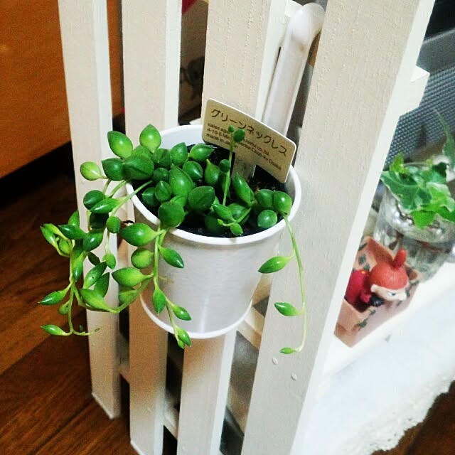 dotlaceさんの実例写真