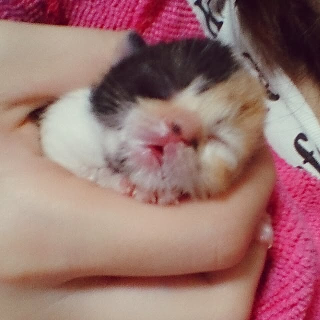 kuuaさんの実例写真