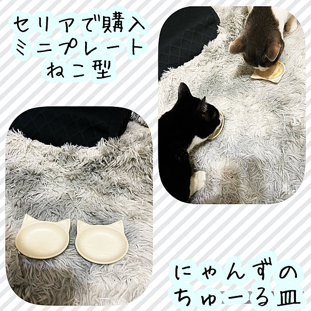 YUKA-REO-MOMOKOさんの実例写真