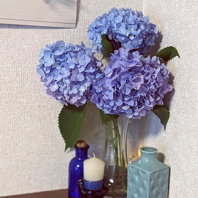 mofukoさんの部屋