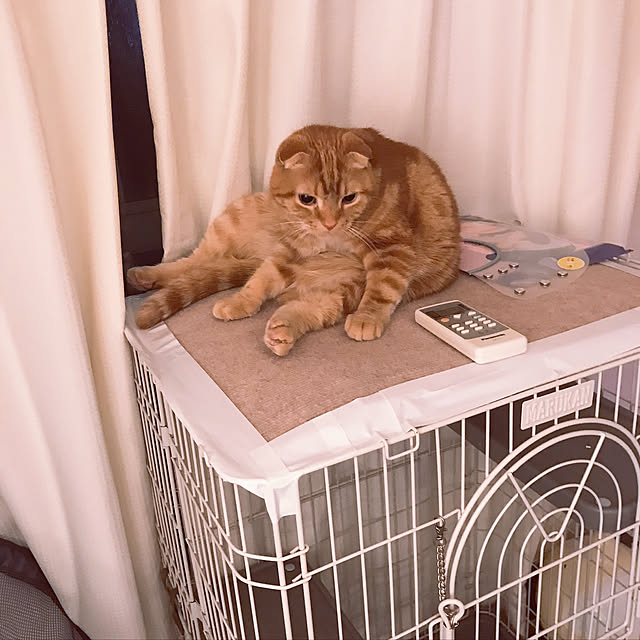 randebuさんの実例写真