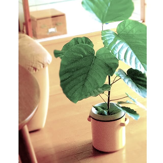 mooさんの実例写真