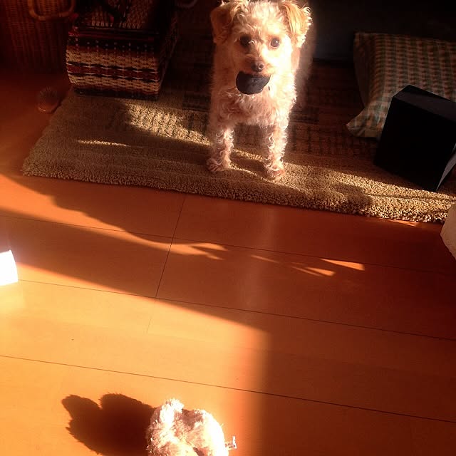 yさんの実例写真
