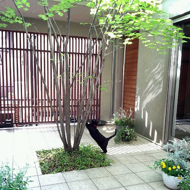 coconana165さんの実例写真