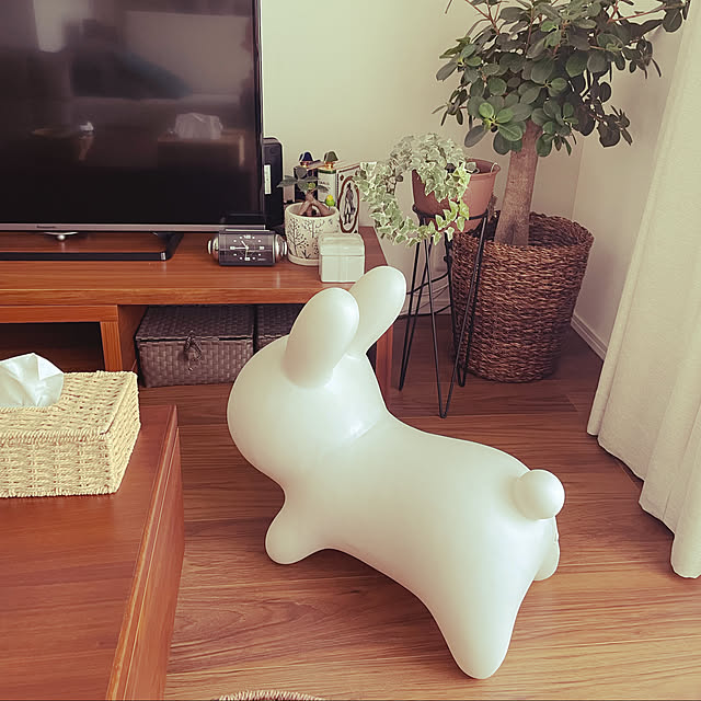 nekoさんの実例写真