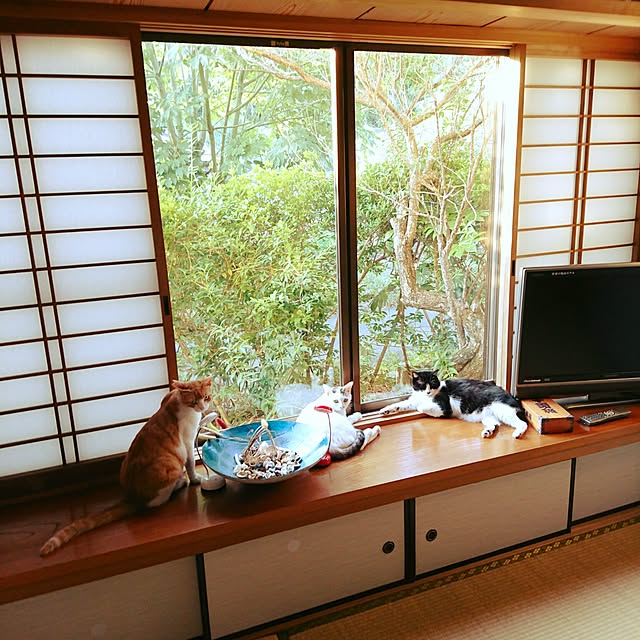 uchizukonyanさんの実例写真