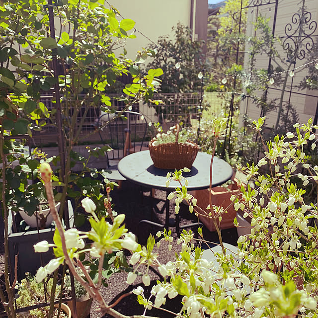 sariさんの部屋