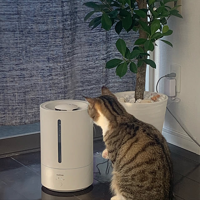 hiroさんの実例写真