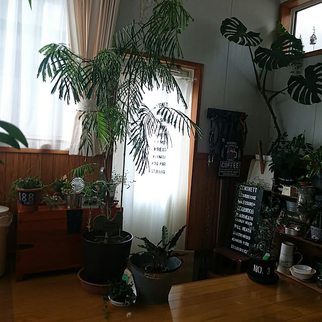 tikuwaさんの実例写真