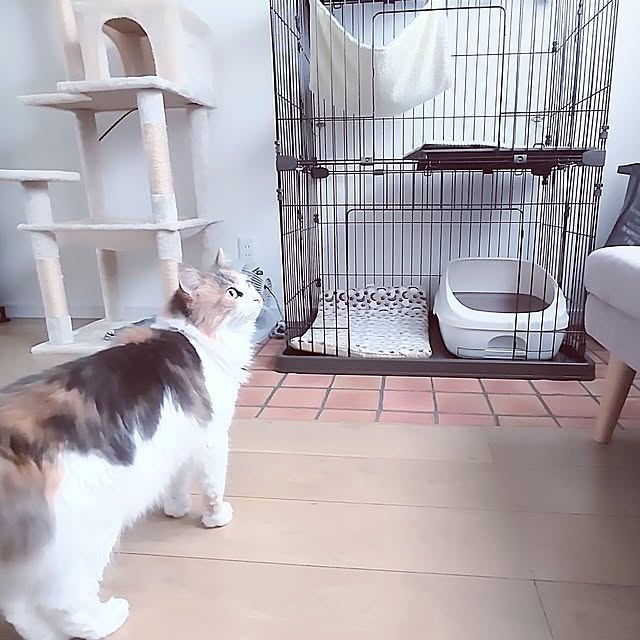 +CHIHARU+さんの実例写真