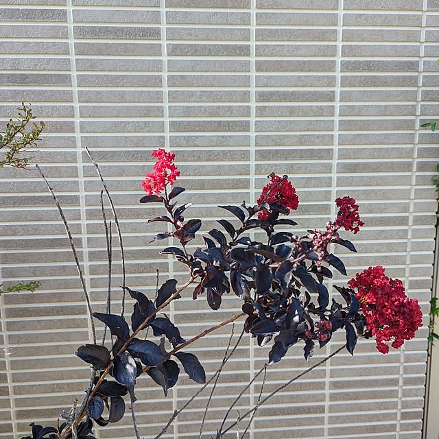 jupvha3850さんの実例写真