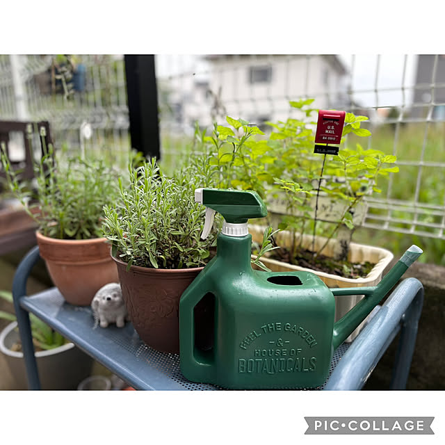 CoCo0617さんの実例写真