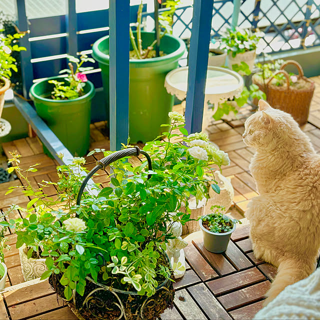 naokoさんの部屋