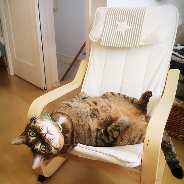 lovecatさんの実例写真