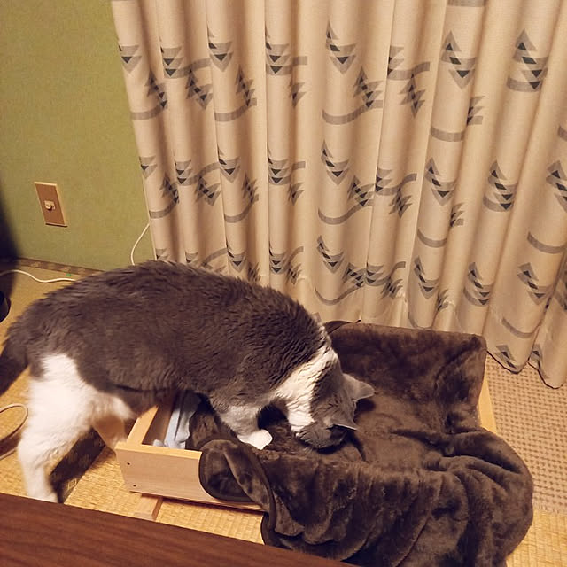 rhuさんの実例写真
