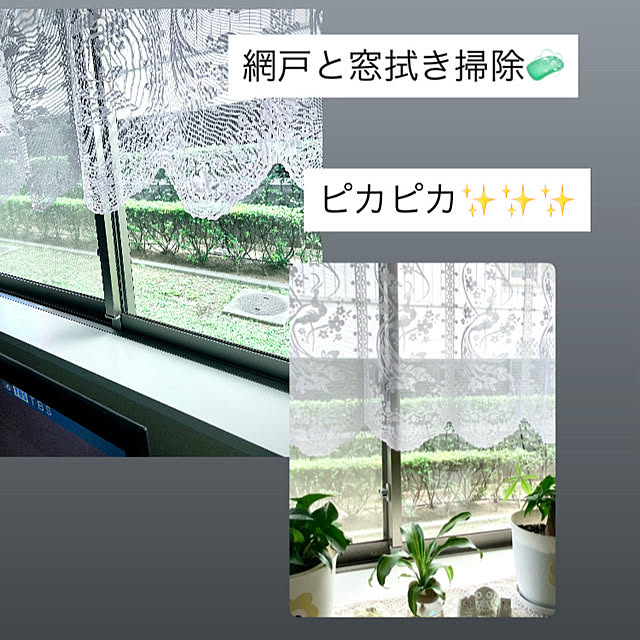 YuuKoさんの実例写真