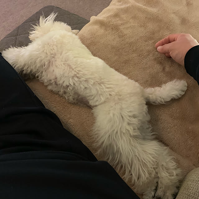 BUNさんの実例写真