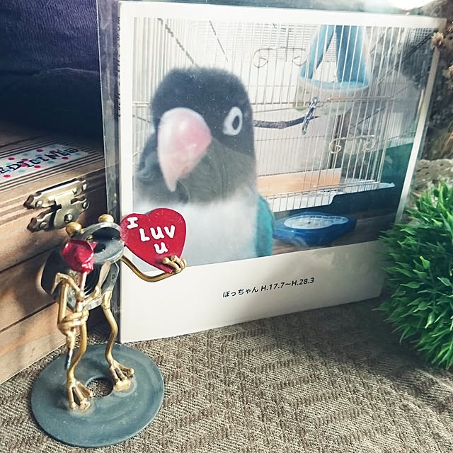 s.p.sunaoさんの実例写真