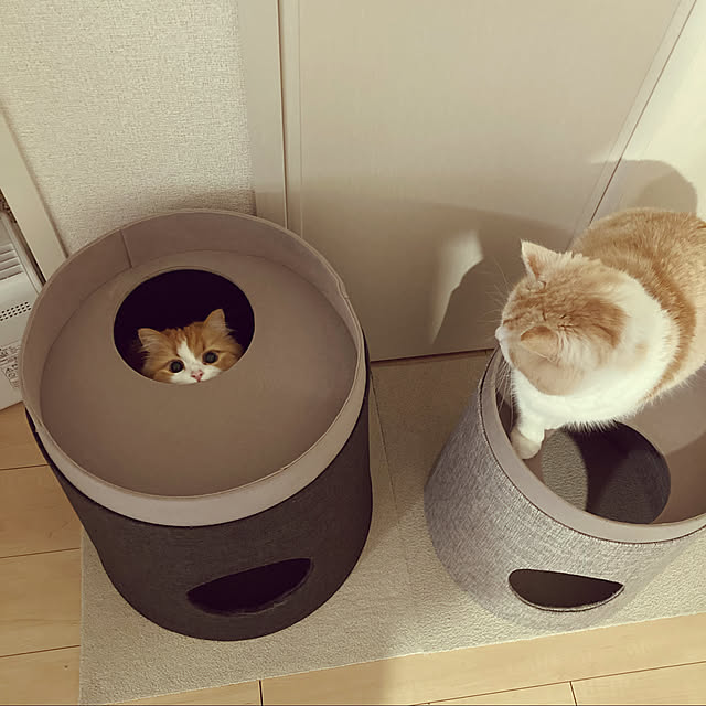 H.Tさんの実例写真