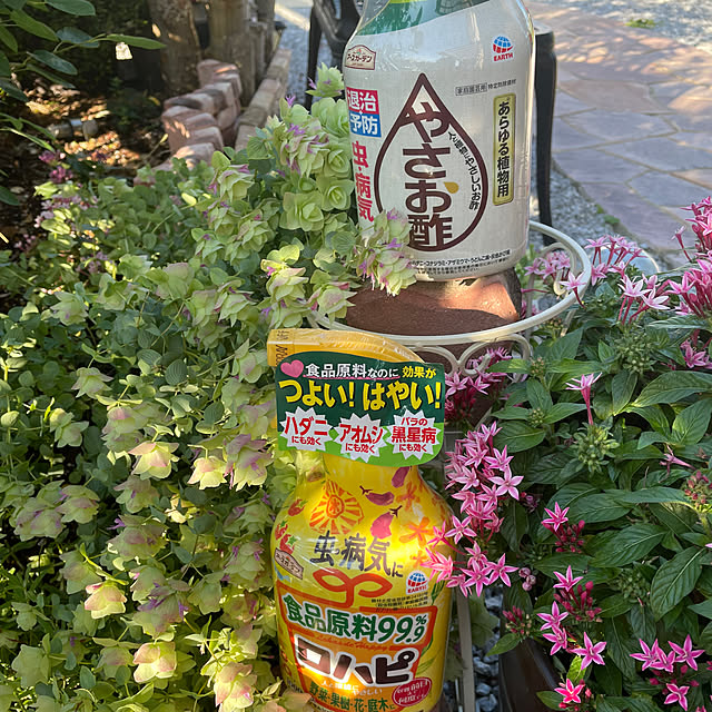 ronronさんの部屋