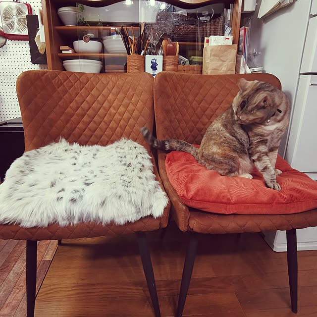 atarasiioutiさんの実例写真