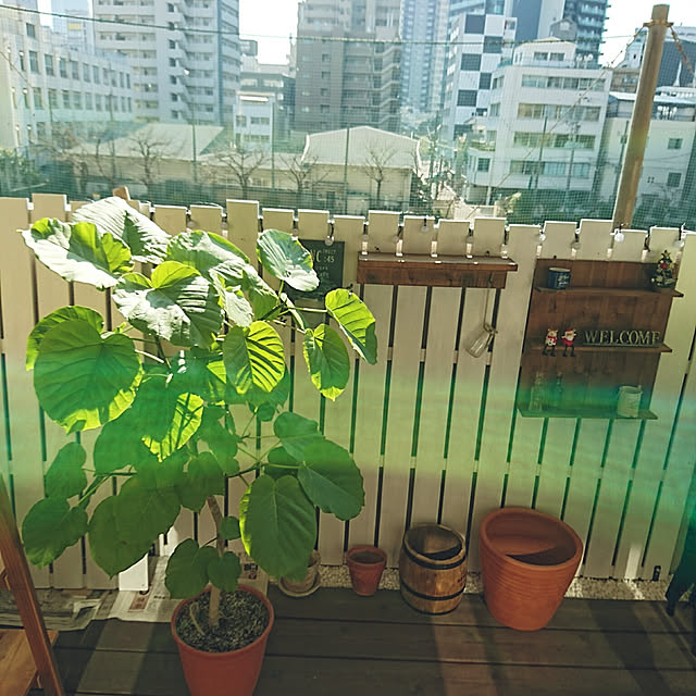 gonntaさんの実例写真