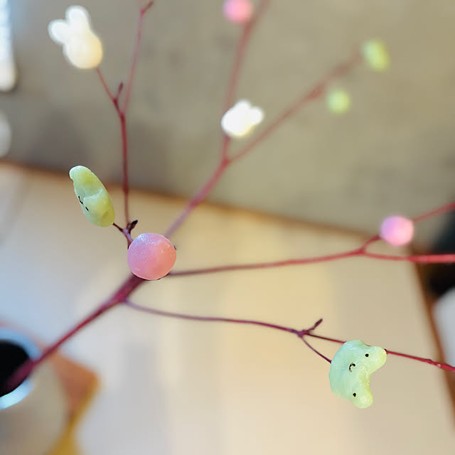 19pyonさんの部屋