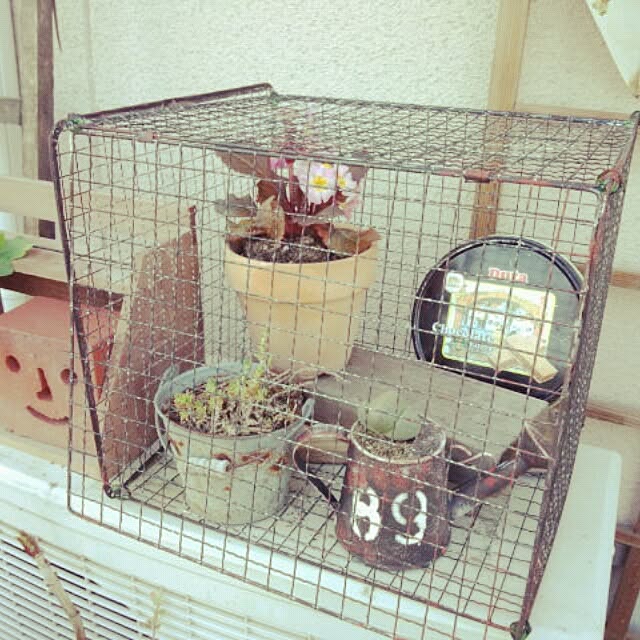 gurikoさんの実例写真