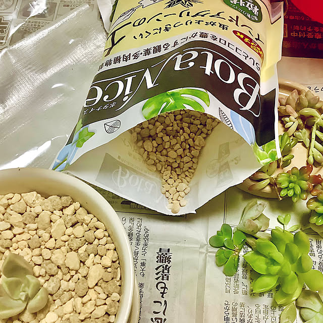haruminさんの部屋
