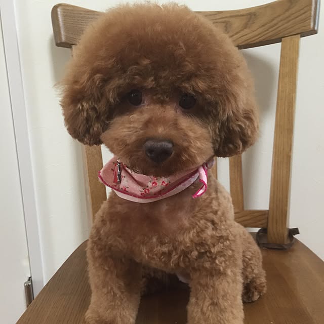marbleさんの実例写真