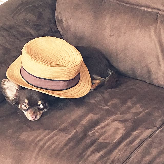 takaさんの実例写真