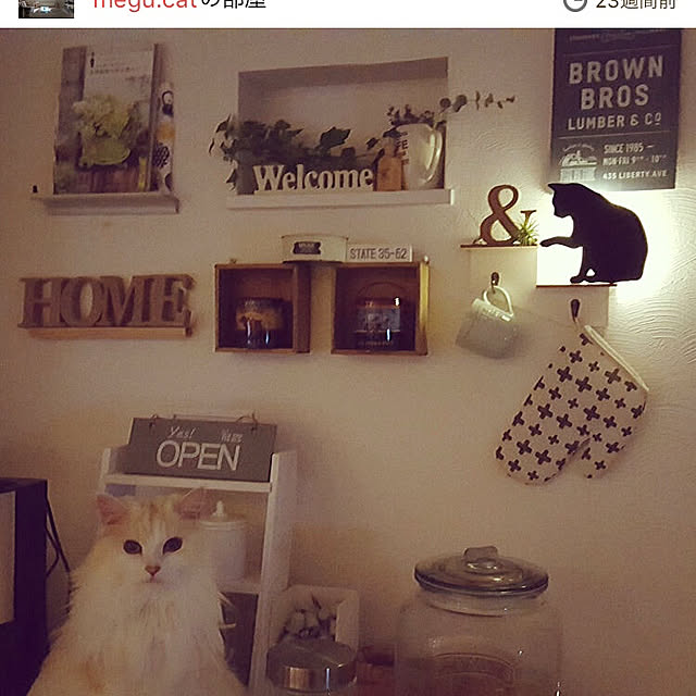 megu.catさんの実例写真