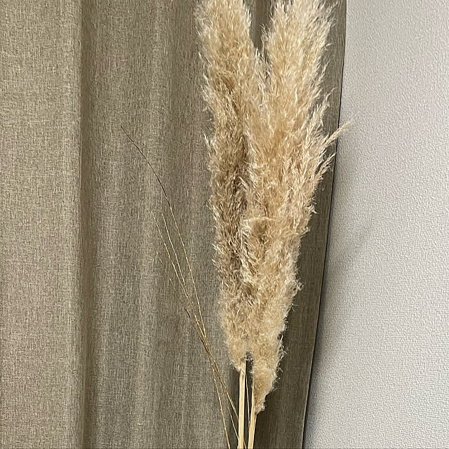 Ny77Coronさんの実例写真