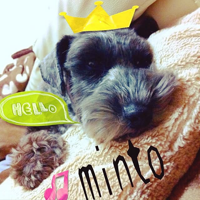 ikuさんの実例写真