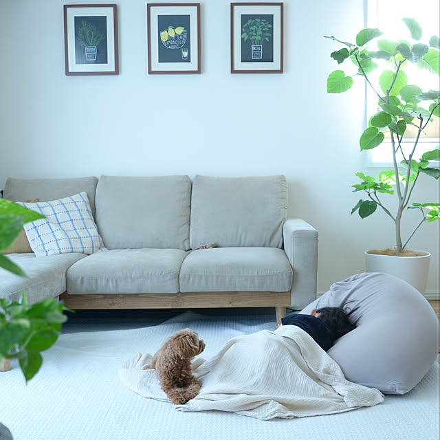 nico_home_igさんの実例写真