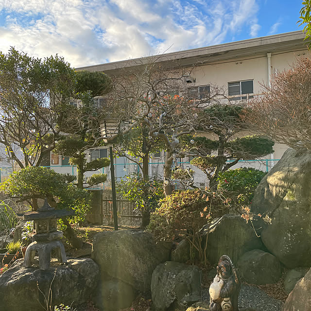 shin0719さんの実例写真