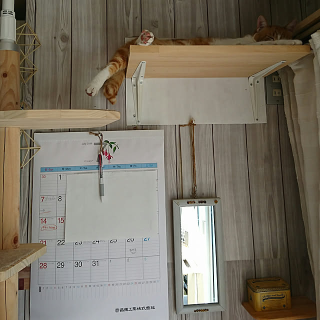 SHIHOさんの実例写真