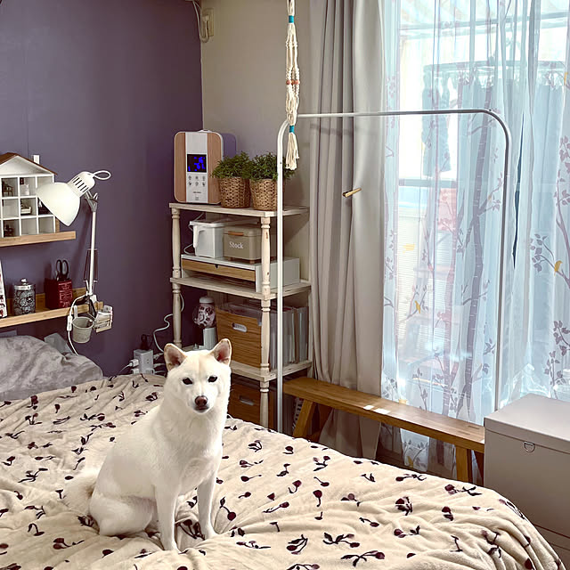 mo-nosukeさんの部屋